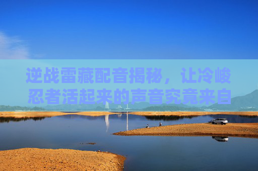 逆战雷藏配音揭秘，让冷峻忍者活起来的声音究竟来自哪位演员？