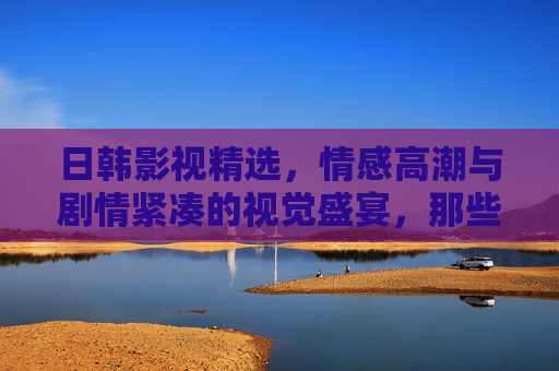 日韩影视精选，情感高潮与剧情紧凑的视觉盛宴，那些让人心跳加速的精彩片段