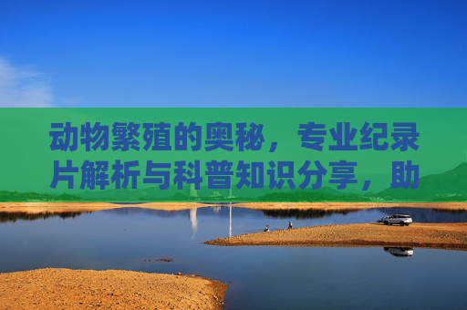 动物繁殖的奥秘，专业纪录片解析与科普知识分享，助力生态保护意识提升
