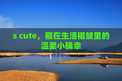 s cute，藏在生活褶皱里的温柔小确幸