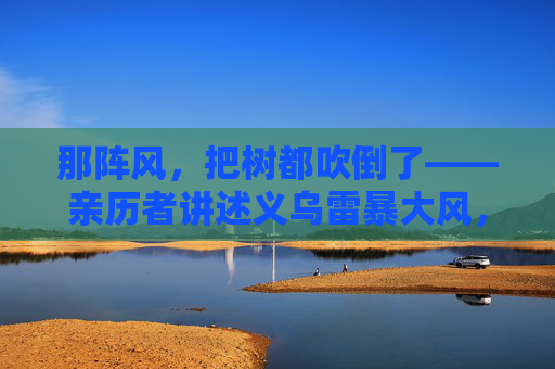 那阵风，把树都吹倒了——亲历者讲述义乌雷暴大风，那些被吹过的日常瞬间
