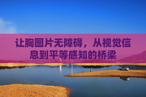 让胸图片无障碍，从视觉信息到平等感知的桥梁