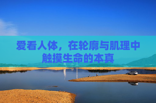爱看人体，在轮廓与肌理中触摸生命的本真