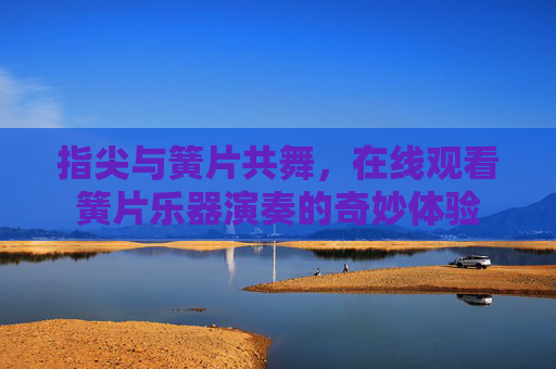 指尖与簧片共舞，在线观看簧片乐器演奏的奇妙体验