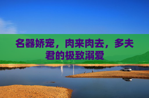 名器娇宠，肉来肉去，多夫君的极致溺爱