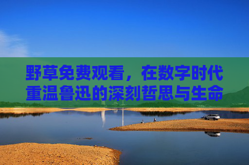 野草免费观看，在数字时代重温鲁迅的深刻哲思与生命力量