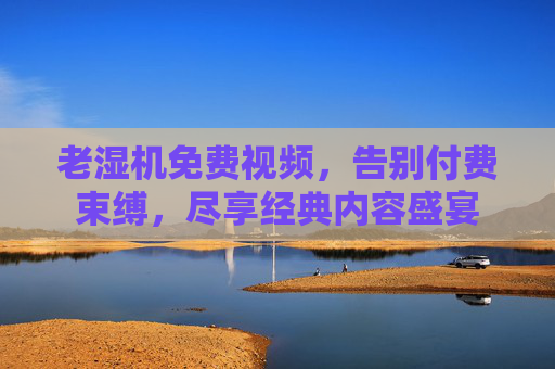 老湿机免费视频，告别付费束缚，尽享经典内容盛宴