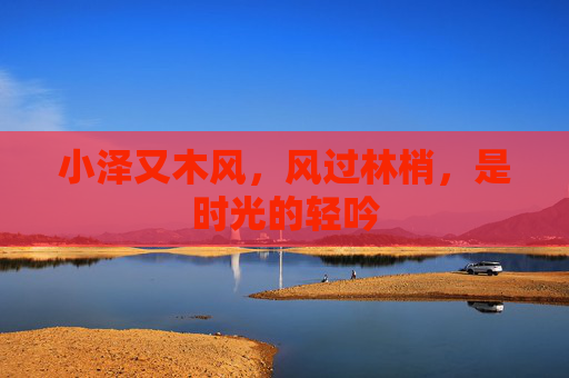 小泽又木风，风过林梢，是时光的轻吟