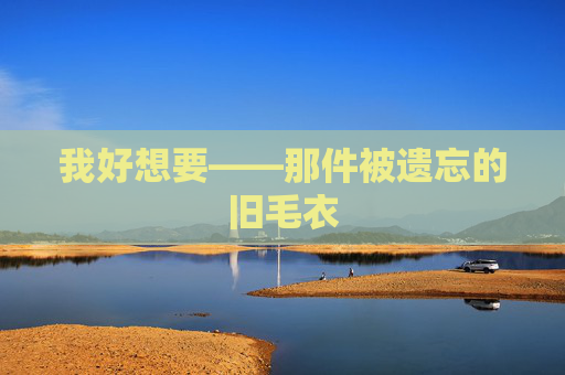 我好想要——那件被遗忘的旧毛衣