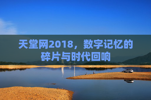 天堂网2018，数字记忆的碎片与时代回响