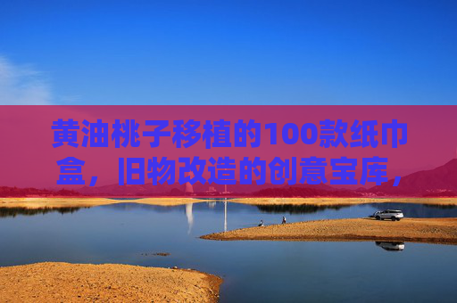 黄油桃子移植的100款纸巾盒，旧物改造的创意宝库，让家居细节焕发新生命
