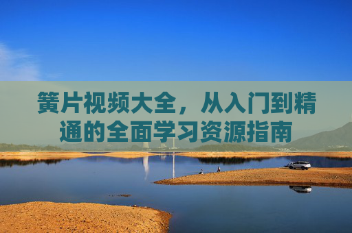 簧片视频大全，从入门到精通的全面学习资源指南