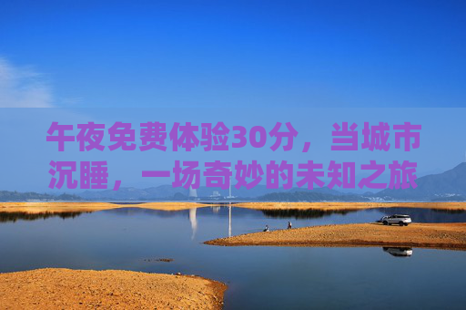 午夜免费体验30分，当城市沉睡，一场奇妙的未知之旅
