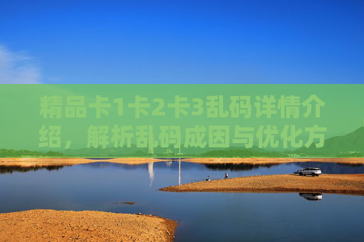 精品卡1卡2卡3乱码详情介绍，解析乱码成因与优化方案