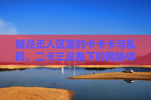 精品无人区里的卡卡卡与乱码，二卡三设备下的网络体验困局