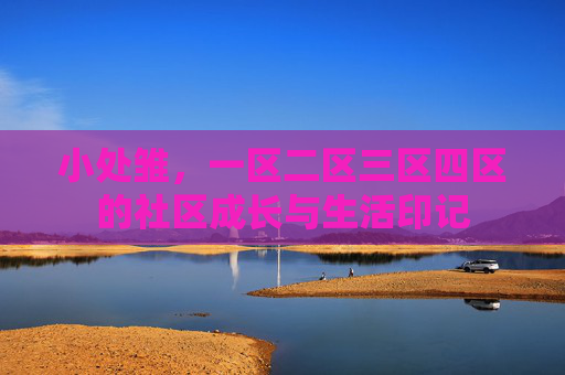 小处雏，一区二区三区四区的社区成长与生活印记