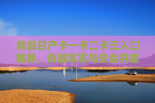 精品日产卡一卡二卡三入口推荐，资源丰富与安全并重的选择指南