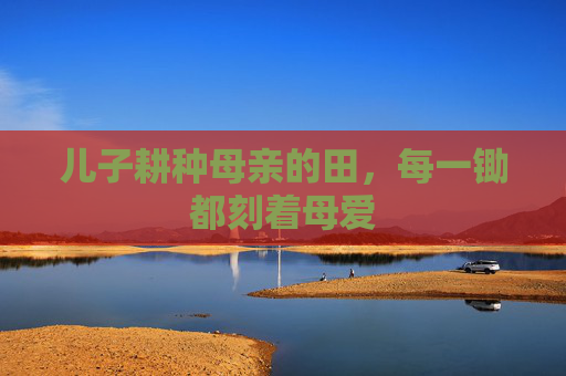 儿子耕种母亲的田，每一锄都刻着母爱