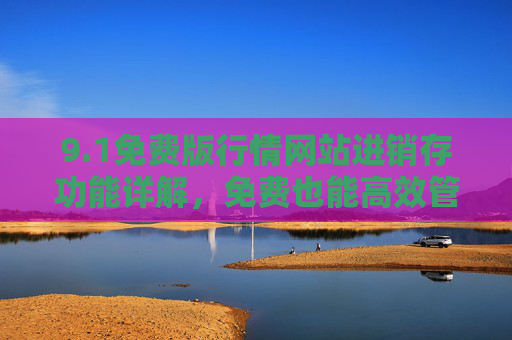 9.1免费版行情网站进销存功能详解，免费也能高效管理进销存，助力中小企业降本增效
