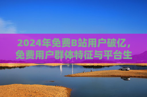 2024年免费B站用户破亿，免费用户群体特征与平台生态的深度剖析