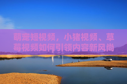 萌宠短视频，小猪视频、草莓视频如何引领内容新风尚？