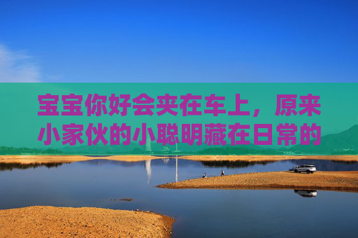 宝宝你好会夹在车上，原来小家伙的小聪明藏在日常的小调皮里