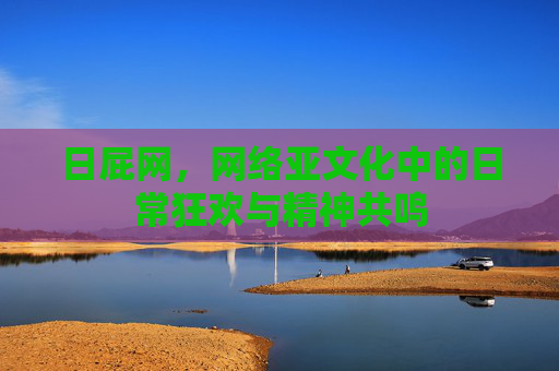 日屁网，网络亚文化中的日常狂欢与精神共鸣