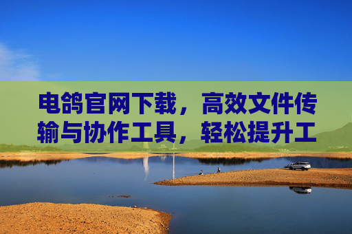 电鸽官网下载，高效文件传输与协作工具，轻松提升工作效率