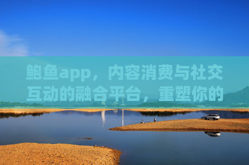 鲍鱼app，内容消费与社交互动的融合平台，重塑你的数字生活体验