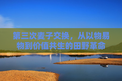 第三次麦子交换，从以物易物到价值共生的田野革命