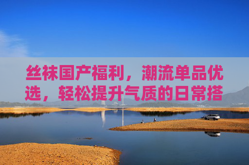 丝袜国产福利，潮流单品优选，轻松提升气质的日常搭配利器——品质与时尚兼具的穿搭新选择