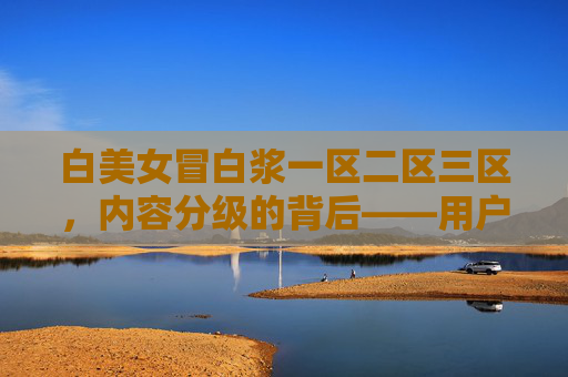 白美女冒白浆一区二区三区，内容分级的背后——用户偏好与行业趋势的深层解读