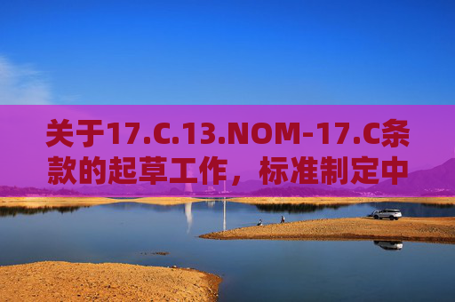 关于17.C.13.NOM-17.C条款的起草工作，标准制定中的关键环节与行业价值