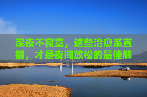 深夜不寂寞，这些治愈系直播，才是夜间放松的最佳解药