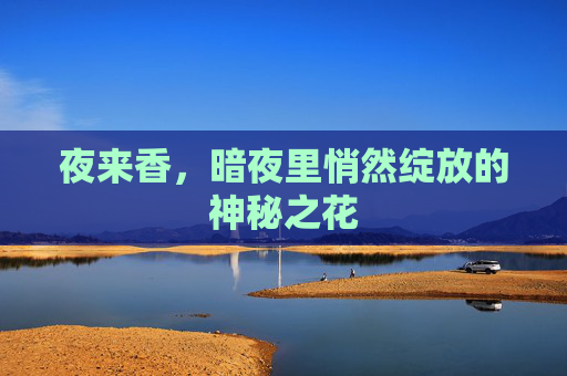 夜来香，暗夜里悄然绽放的神秘之花