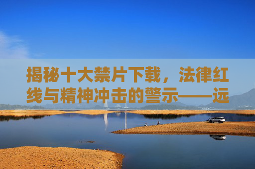揭秘十大禁片下载，法律红线与精神冲击的警示——远离非法传播，守护法律与心理健康