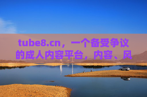 tube8.cn，一个备受争议的成人内容平台，内容、风险与用户体验剖析