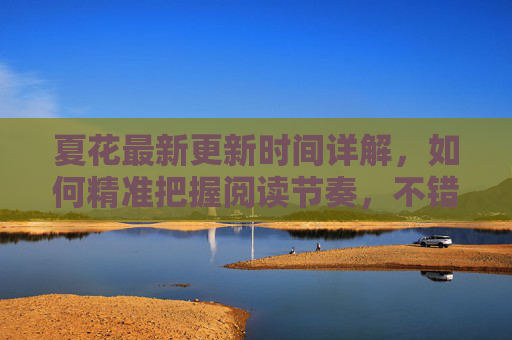 夏花最新更新时间详解，如何精准把握阅读节奏，不错过每一章精彩