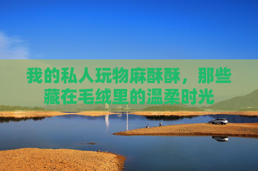 我的私人玩物麻酥酥,那些藏在毛绒里的温柔时光