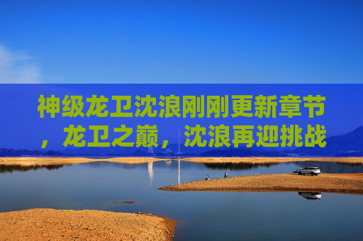 神级龙卫沈浪刚刚更新章节,龙卫之巅,沈浪再迎挑战,剧情张力拉满!