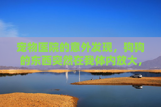 宠物医院的意外发现，狗狗的东西突然在我体内放大，原来竟是...