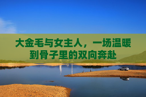 大金毛与女主人，一场温暖到骨子里的双向奔赴