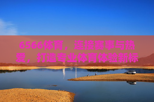 6566体育，连接赛事与热爱，打造专业体育体验新标杆