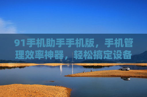 91手机助手手机版，手机管理效率神器，轻松搞定设备优化与数据管理
