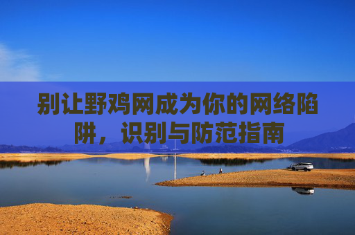 别让野鸡网成为你的网络陷阱，识别与防范指南