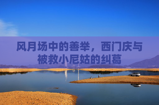 风月场中的善举，西门庆与被救小尼姑的纠葛