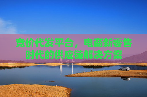 竞价代发平台，电商新零售时代的供应链解决方案