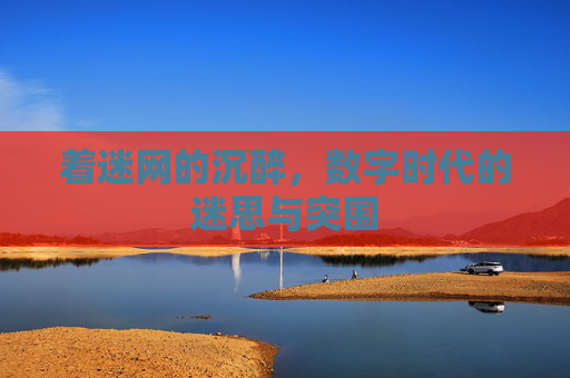 着迷网的沉醉，数字时代的迷思与突围