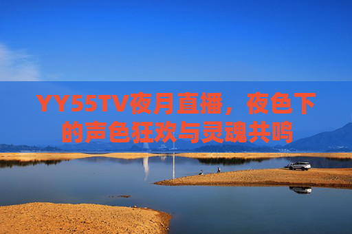 YY55TV夜月直播，夜色下的声色狂欢与灵魂共鸣
