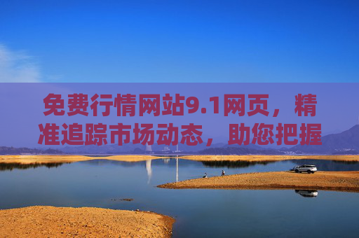 免费行情网站9.1网页，精准追踪市场动态，助您把握投资先机
